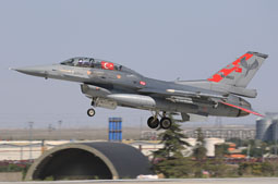 anatolian eagle 2021 image 54
