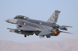 anatolian eagle 2021 image 55