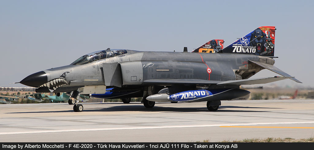 anatolian eagle 2021 image 58