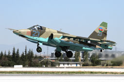 anatolian eagle 2021 image 6
