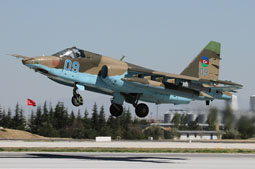 anatolian eagle 2021 image 8