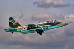 anatolian eagle 2023 image 11