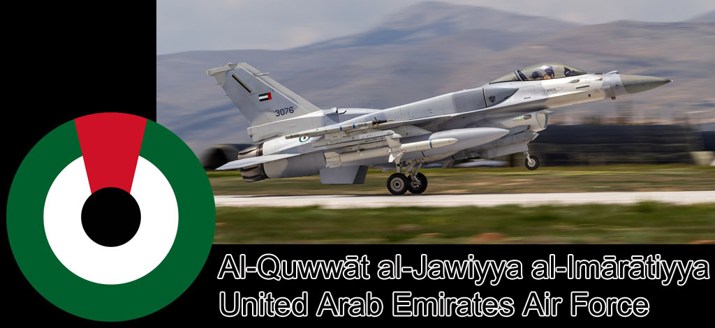 anatolian eagle 2023 image 13