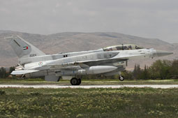 anatolian eagle 2023 image 19