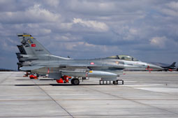 anatolian eagle 2023 image 27