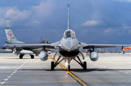 anatolian eagle 2023 image 29