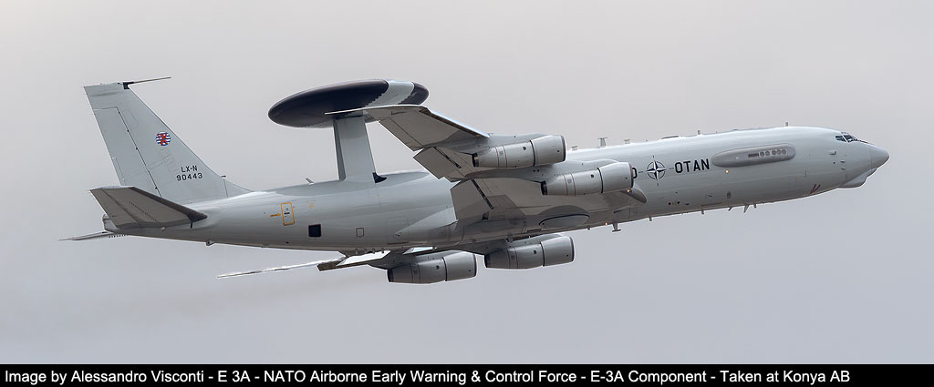 anatolian eagle 2023 image 3