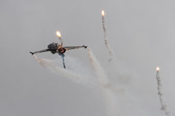 anatolian eagle 2023 image 51