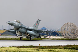 anatolian eagle 2023 image 52