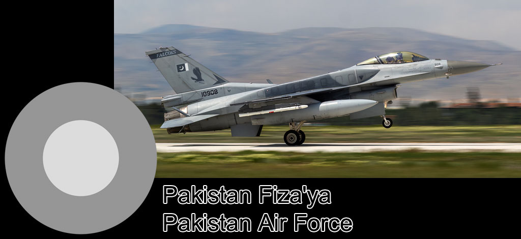 anatolian eagle 2023 image 69