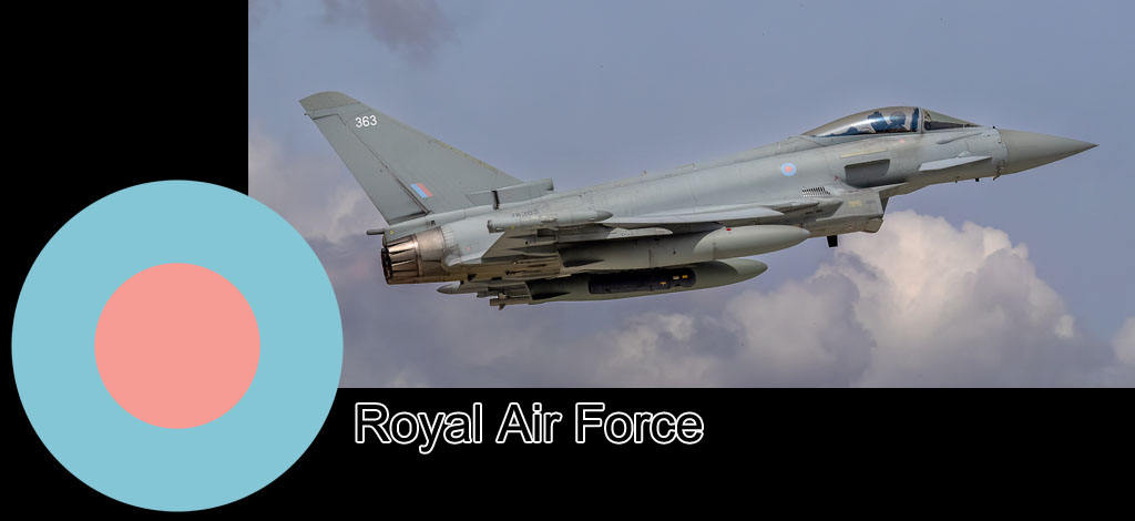 anatolian eagle 2023 image 78