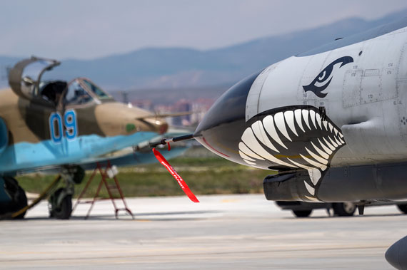 anatolian eagle 2023 image 85