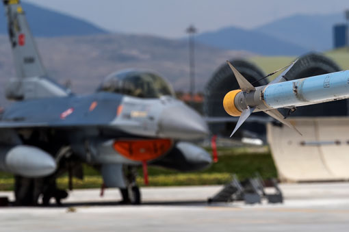 anatolian eagle 2023 image 91