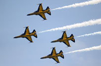 black eagles aerobatic team image 10
