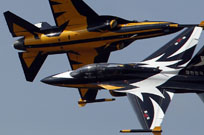 black eagles aerobatic team image 12