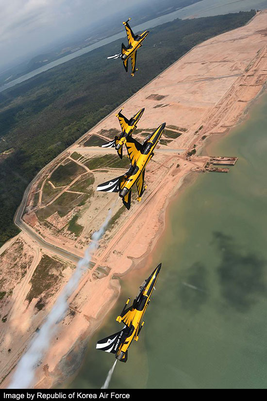 black eagles aerobatic team image 2