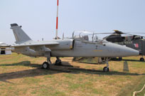 centenario am image 24