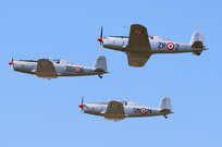 centenario am image 26