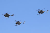 centenario am image 28