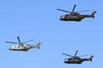 centenario am image 29