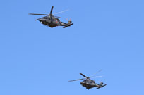 centenario am image 40