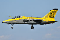 centenario am image 54