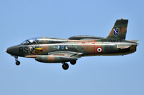 centenario am image 70