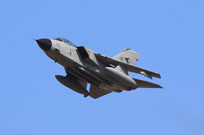 centenario am image 80