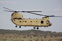 contributors military I Chinook dellEsercito spagnolo