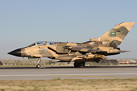 contributors military anatolian eagle 2012