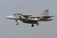 contributors military frisian flag 2013