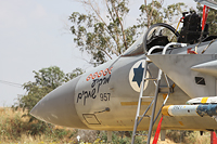 contributors military israeli df