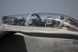 elite 2008 image 40