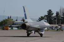 ecuador and chile spotting 2009 image 106