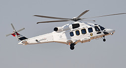 El Alaimen Air Show 2024 image 8