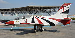 Egyptian Air Force Museum image 15