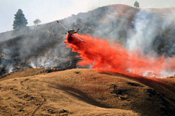 fire boss 2010 image 7