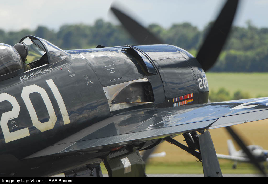 flying legend 2008 image 4
