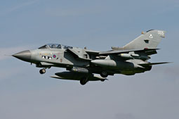 green flag 2013 image 10