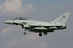 green flag 2013 image 26