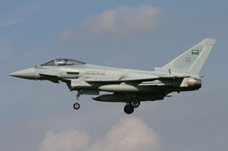 green flag 2013 image 27