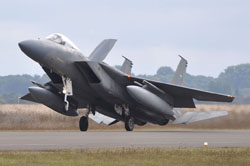 green shield 2009 image 12