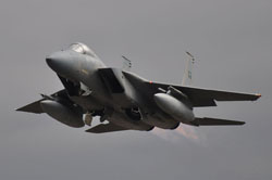 green shield 2009 image 14