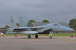 green shield 2009 image 4