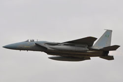 green shield 2009 image 6