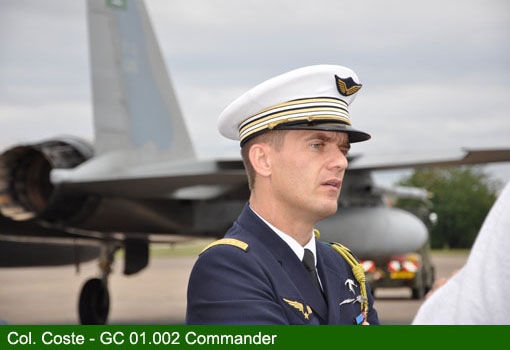 green shield 2009 image b