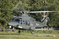 grifone 2015 image 10