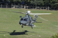 grifone 2015 image 11