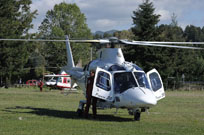 grifone 2015 image 15