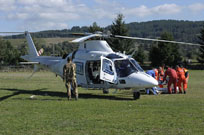 grifone 2015 image 16